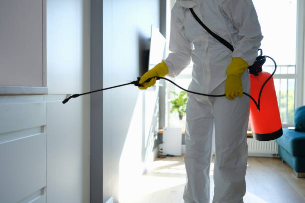 Best Office Mold Removal Services  in China, TX